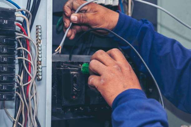 Best Electric Panel Repair  in Sumner, IA