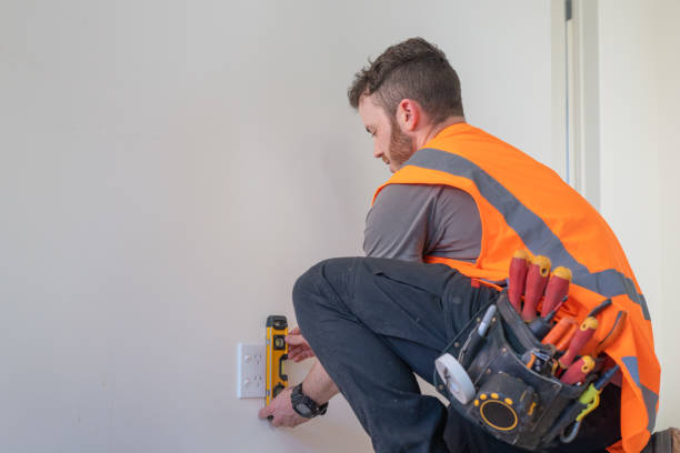 Best Electric Panel Repair  in Sumner, IA